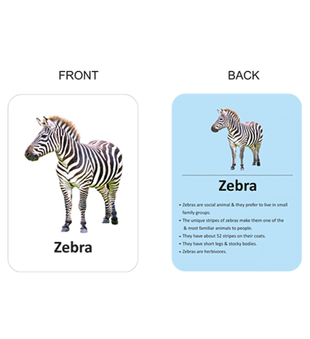 450 X 500 – ANIMALS FRONT & BACK