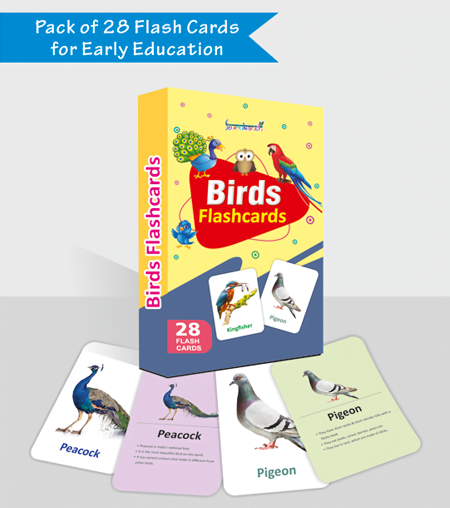 450 X 500 PX – BIRDS FLASH CARDS BOX