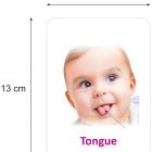 61t6Ks3jKuL._SL1500_(1)