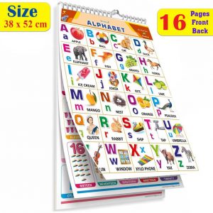 gurukanth All in One ENGLISH & HINDI Chart For Kids (16 Charts ) Children Spiral Chart  (Multicolor)