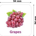 all-in-one-flash-cards-for-kids-non-tearable-flashcards-water-original-imahb8scfkb5fv4m