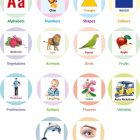 all-in-one-flash-cards-for-kids-non-tearable-flashcards-water-original-imahb8scyyatkysz
