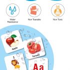all-in-one-flash-cards-for-kids-non-tearable-flashcards-water-original-imahb8scyyc5qhhd