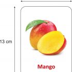 alphabets-fruits-vegetables-colors-and-shapes-birds-animals-original-imag9hbdrvz2mj7m