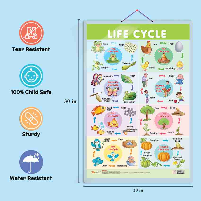 Educational Chart