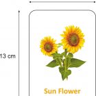 flowers-flashcards-for-kids-gurukanth-original-imag964zqkt6pbgh