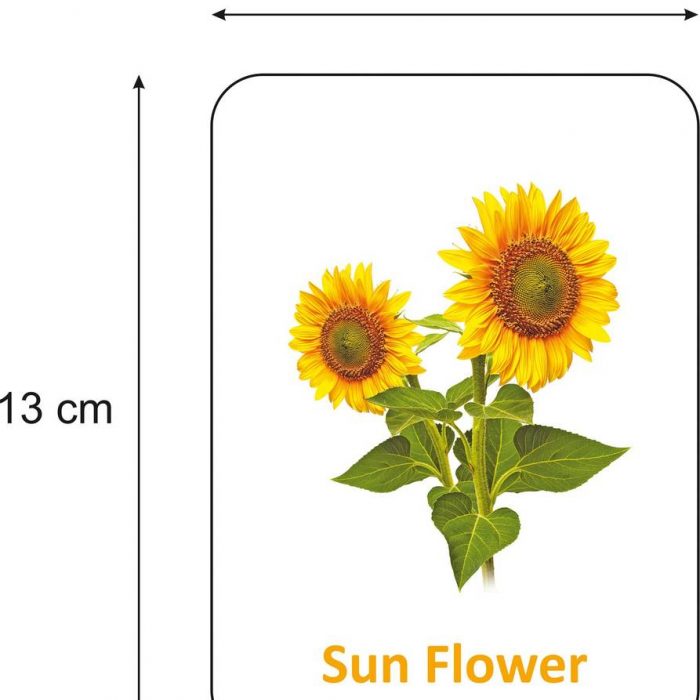 flowers-flashcards-for-kids-gurukanth-original-imag964zqkt6pbgh