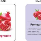 fruits-flash-cards-easy-fun-way-of-learning-gurukanth-original-imag4tbpmmmszfhx