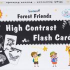 high-contrast-flash-cards-for-new-born-baby-black-white-original-imagh853akcwfzcq
