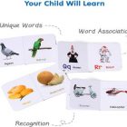 pocket-board-book-set-of-alphabets-fruits-vegetable-animals-original-imah5jx3sg9dkvs2