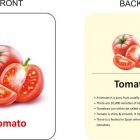 vegetables-flash-cards-easy-fun-way-of-learning-gurukanth-original-imag4tbzhc2gdeph